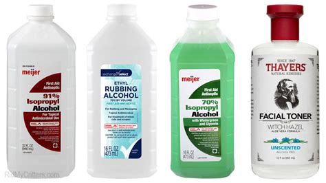 Does Rubbing Alcohol Kill Fleas? (Here's the REAL Truth)