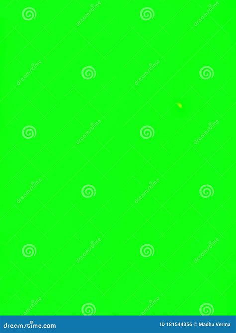 Parrot Green Backdrop Type Background for Editing, Quotes & Messages Stock Photo - Image of ...