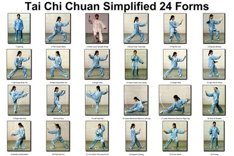 24 Forms simplified taichi | Tai Chi | Pinterest | The o'jays, Tai chi and Dance