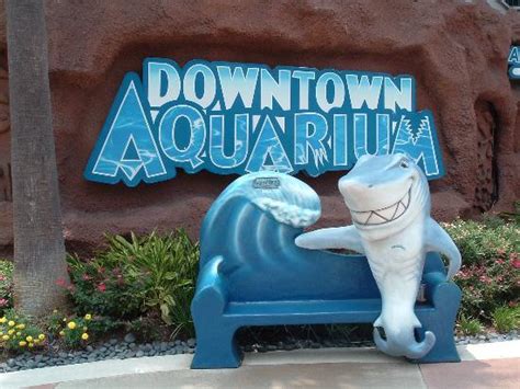 Downtown Aquarium (Houston) - 2018 All You Need to Know Before You Go ...