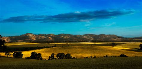 Barossa Valley 2017 on Behance