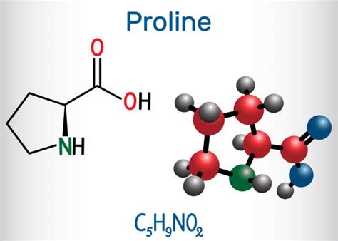 Proline Structure Stock Photos, Pictures & Royalty-Free Images - iStock