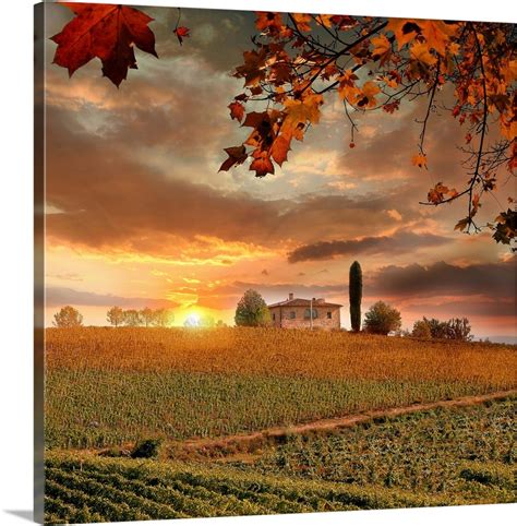 Chianti vineyard landscape in Tuscany, Italy Wall Art, Canvas Prints, Framed Prints, Wall Peels ...