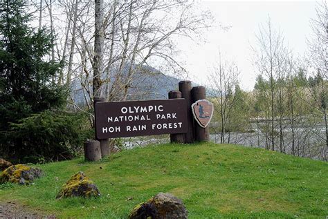 Hoh Rainforest - Wikipedia