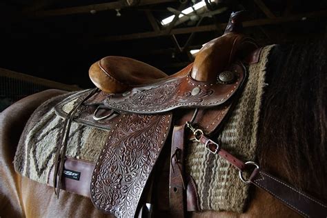 brown, leather horse saddle, back, leather, horse saddle, western ...