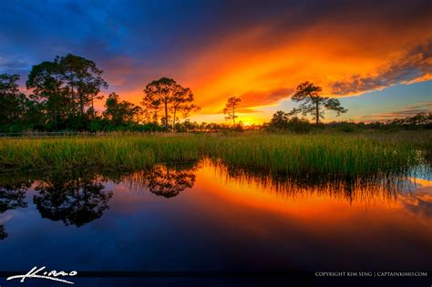 Acreage Pines Natural Area Sunset Loxahatchee Florida