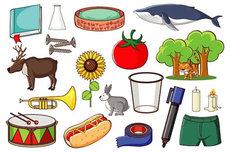 Free Vector | Set of various animals and objects