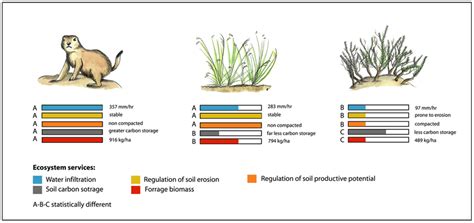 Ecosystem services were evaluated in grasslands with prairie dogs,... | Download Scientific Diagram