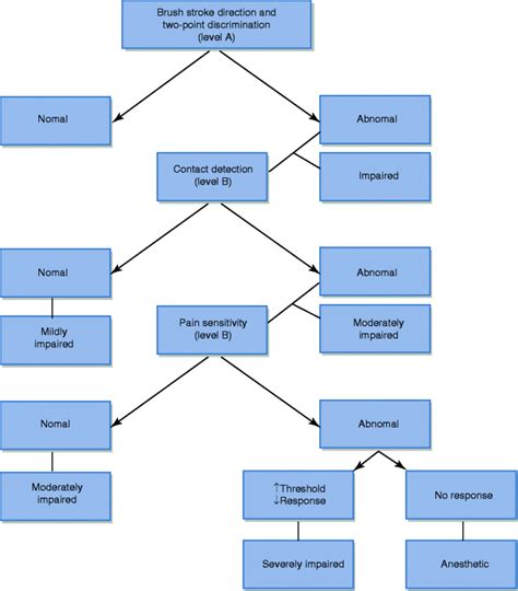 Guidelines for Diagnosis and Treatment of Trigeminal Nerve Injuries ...