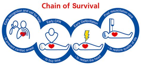 BLS CPR Certification Classes Near Me – American CPR Institute