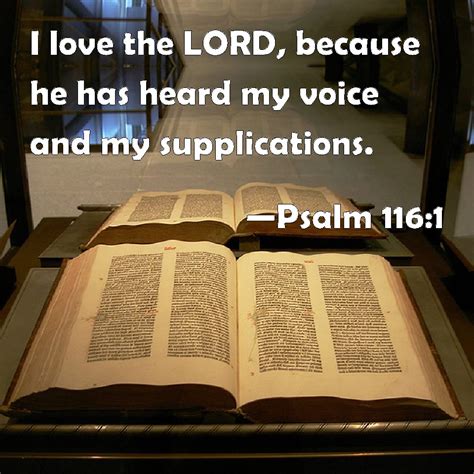 Psalm 116:1 I love the LORD, because he has heard my voice and my ...