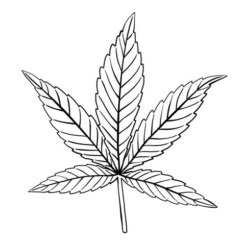 simplicity cannabis leaf freehand drawing flat design. 18907370 Vector ...