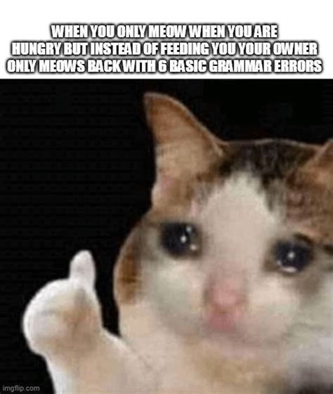 *sad meow meow noises* : r/memes