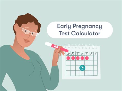 When to take a pregnancy test calculator - Flo