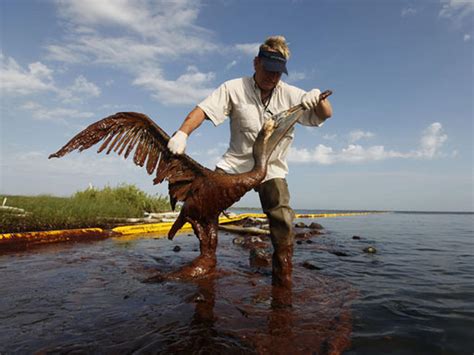 Deepwater Horizon - Oil Spill: 100 Days, 100 Photos - Pictures - CBS News