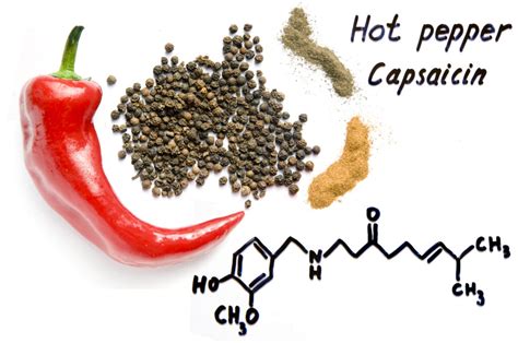 Capsaicin Cream Burn: Side Effects & Solutions - Capsadyn™