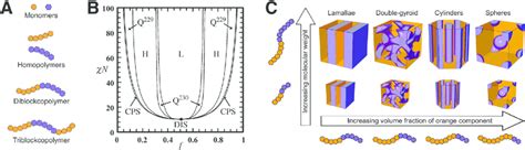 (A) Block copolymer system building blocks. (B) Theoretical phase ...