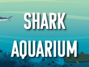 Shark Aquarium Screensaver | TV App | Roku Channel Store | Roku