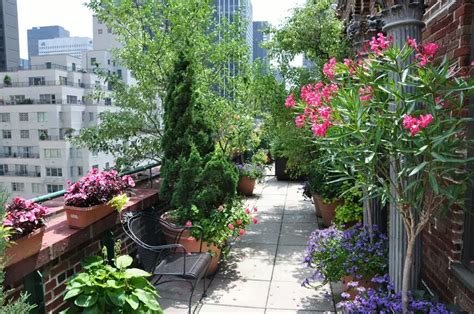 Rooftop Terrace Garden New York City | My Decorative