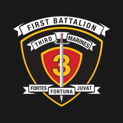 USMC 1st Battalion 3rd Marines - 1st Battalion 3rd Marine Regiment - T ...