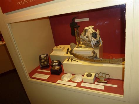 Armagh County Museum (Armagh) - Visitor Information & Reviews