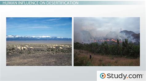 Desertification | Causes, Effects & Examples - Video & Lesson ...