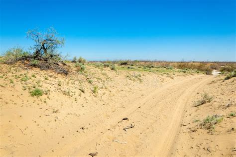 Sands Desert Spring stock image. Image of desert, extreme - 122735107