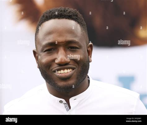 Hannibal Buress at 'The Secret Life of Pets 2' Los Angeles premiere held at the Regency Village ...