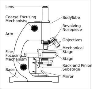 Microscope With Labels clip art Biology Labs, Biology Lessons, Science ...