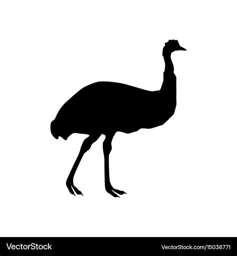 Ostrich emu silhouette Royalty Free Vector Image