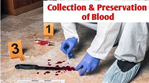 collection of Wet blood stains & Dry blood stains|| forensic collection ...