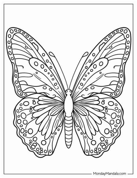 Butterfly Coloring Pages By Number