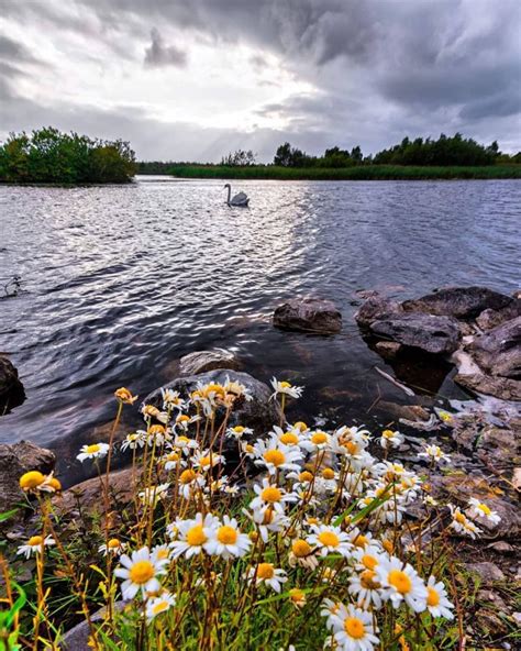 The 5 best hikes and walks in County Offaly, Ireland