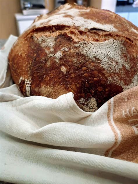 Sourdough Starter and Leaven - Delishably