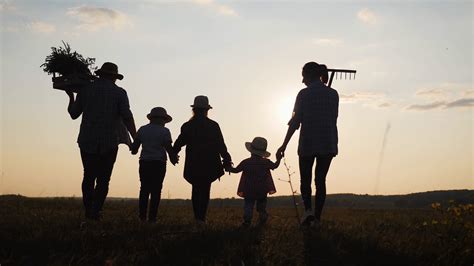 Silhouette Farmers Family Of Organic Farming Stock Footage SBV ...