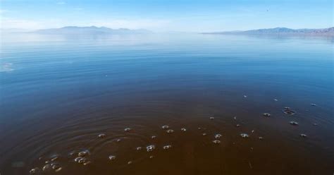 Why Is the Salton Sea So Toxic? Behind California’s Most Polluted Lake