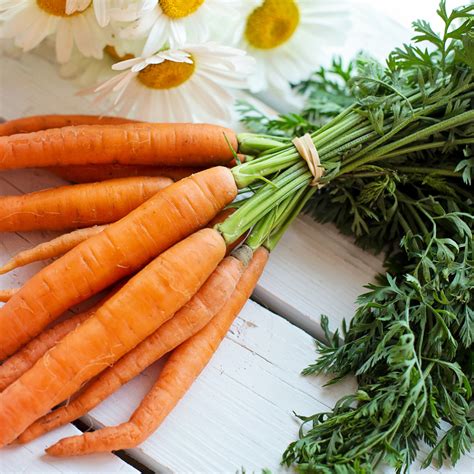 How To Freeze Carrots - Blanching And Without