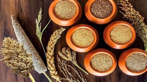 दुनिया को भाया मोटा अनाज, UN ने किया 2023 को International Millet Crops Year घोषित | United ...