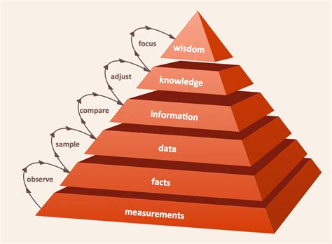 Pyramid Chart Examples