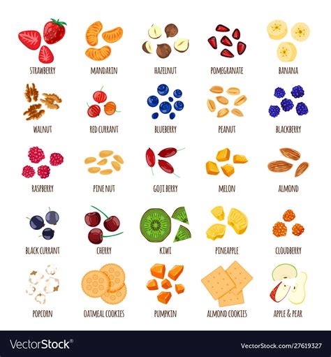 Porridge ingredients healthy food Royalty Free Vector Image