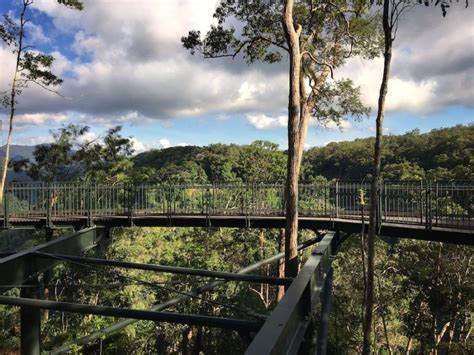 A Bucket List Journey on the Kuranda Skyrail – Onwards + Upwards