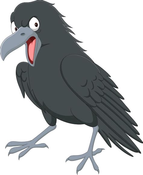 Premium Vector | Cartoon angry crow on white background