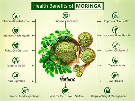 Moringa Benefits – Prevent & Treat Over 300 Diseases with Moringa Leaves