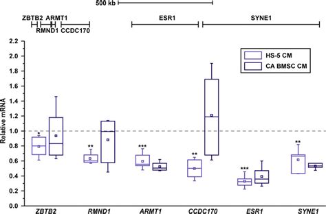 MCF7 cells were treated with MCF7-CM, HS5-CM, or cancer-associated ...