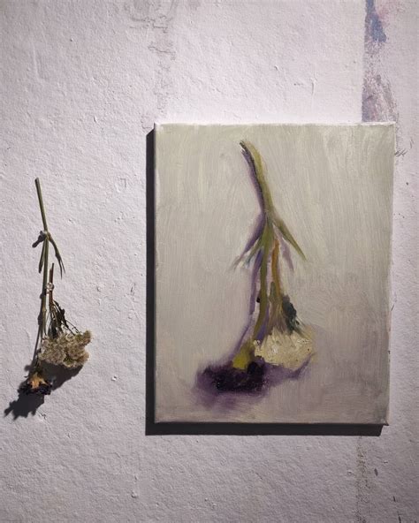 Dreamy dead flowers from my studio Want to work more on memory and ...