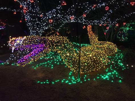 Phoenix Zoo Lights - Scenic Travel