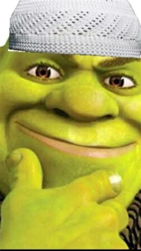 SHREK ISLAMIC RIZZ | Shrek, Shrek memes, Gangsta's paradise