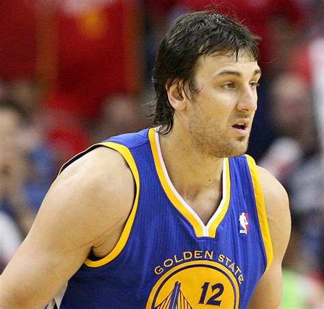 Andrew Bogut Injury: Updates on Warriors Center's Ankle | News, Scores ...