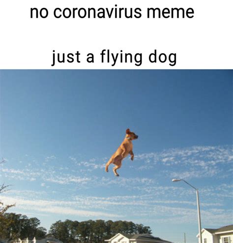 he be flying : memes