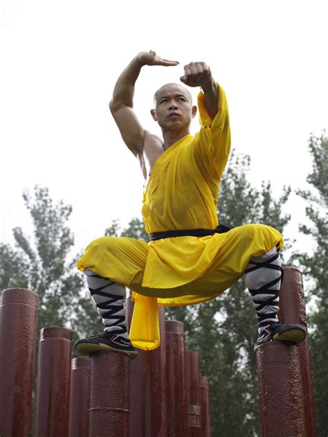 A Complete Guide To Shaolin Kung Fu | shifuyanlei